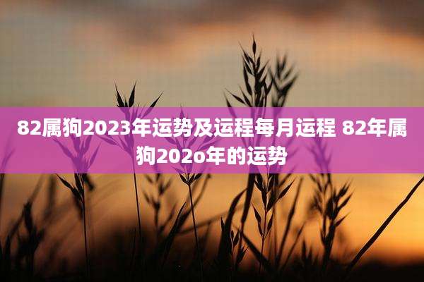 82属狗2023年运势及运程每月运程 82年属狗202o年的运势