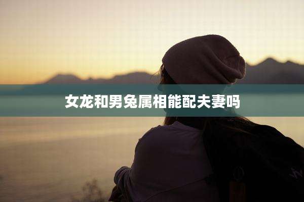 女龙和男兔属相能配夫妻吗