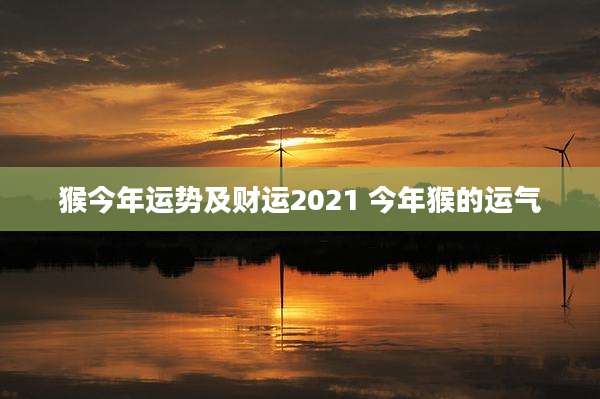 猴今年运势及财运2021 今年猴的运气