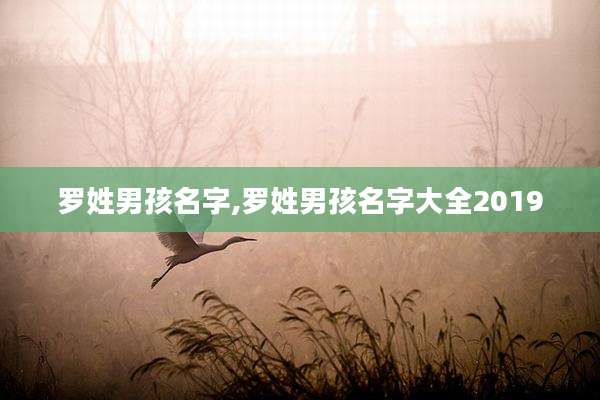罗姓男孩名字,罗姓男孩名字大全2019