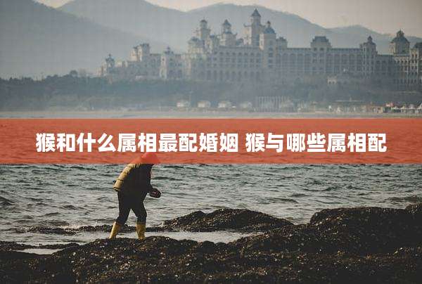 猴和什么属相最配婚姻 猴与哪些属相配