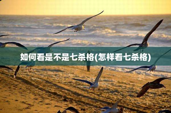 如何看是不是七杀格(怎样看七杀格)