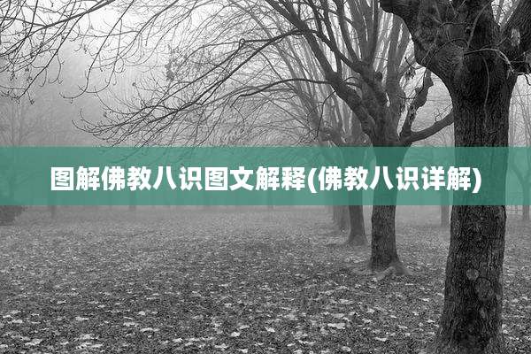 图解佛教八识图文解释(佛教八识详解)