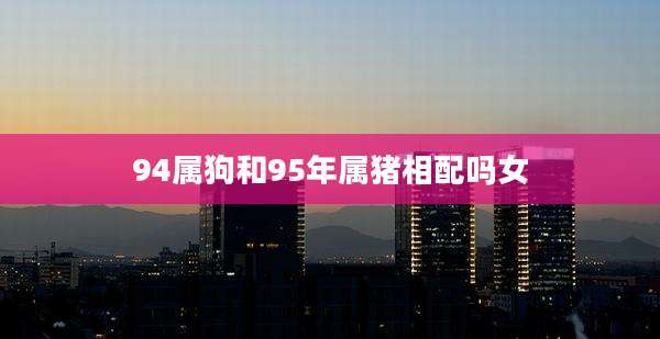 94属狗和95年属猪相配吗女