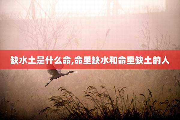 缺水土是什么命,命里缺水和命里缺土的人