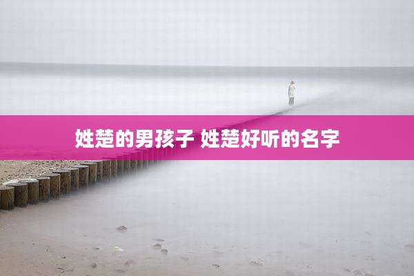 姓楚的男孩子 姓楚好听的名字