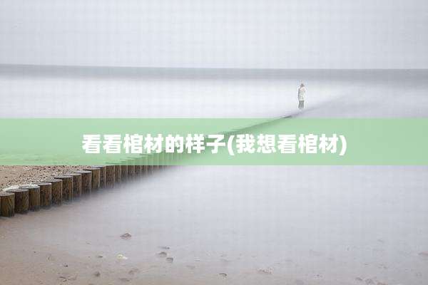 看看棺材的样子(我想看棺材)