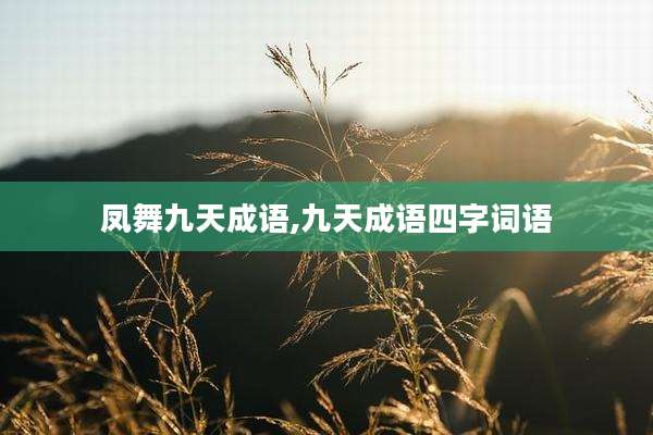 凤舞九天成语,九天成语四字词语