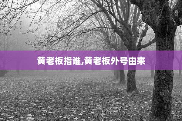 黄老板指谁,黄老板外号由来