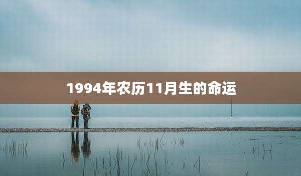 1994年农历11月生的命运