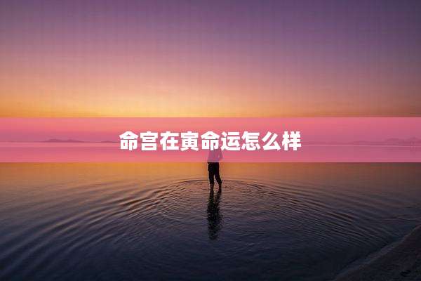 命宫在寅命运怎么样