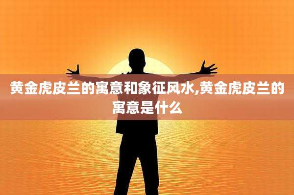 黄金虎皮兰的寓意和象征风水,黄金虎皮兰的寓意是什么