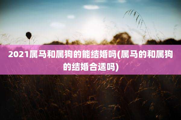 2021属马和属狗的能结婚吗(属马的和属狗的结婚合适吗)