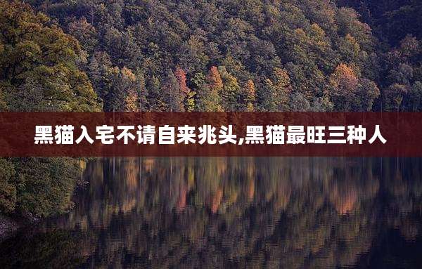 黑猫入宅不请自来兆头,黑猫最旺三种人