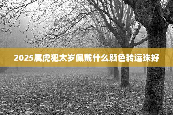 2025属虎犯太岁佩戴什么颜色转运珠好
