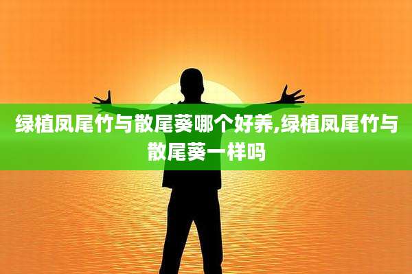 绿植凤尾竹与散尾葵哪个好养,绿植凤尾竹与散尾葵一样吗