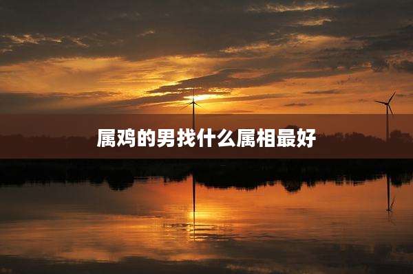 属鸡的男找什么属相最好
