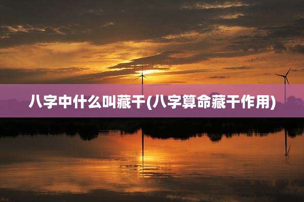 八字中什么叫藏干(八字算命藏干作用)