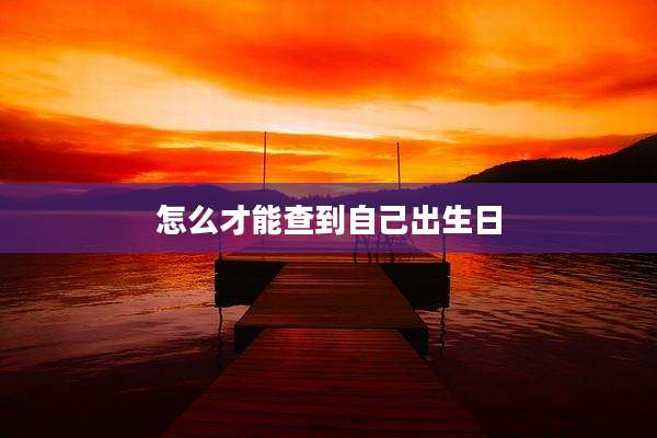 怎么才能查到自己出生日