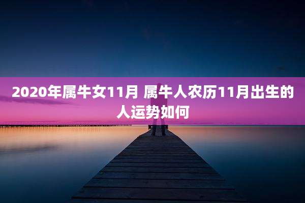 2020年属牛女11月 属牛人农历11月出生的人运势如何