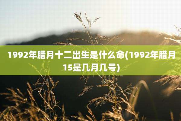 1992年腊月十二出生是什么命(1992年腊月15是几月几号)