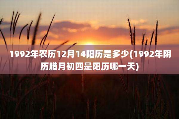 1992年农历12月14阳历是多少(1992年阴历腊月初四是阳历哪一天)