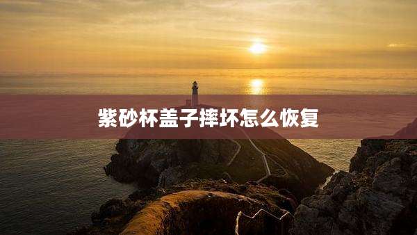 紫砂杯盖子摔坏怎么恢复