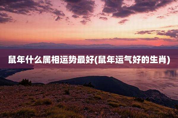 鼠年什么属相运势最好(鼠年运气好的生肖)