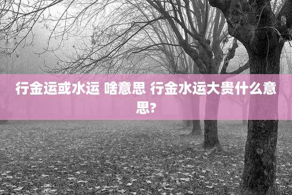 行金运或水运 啥意思 行金水运大贵什么意思?
