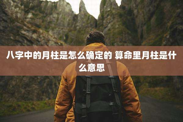 八字中的月柱是怎么确定的 算命里月柱是什么意思