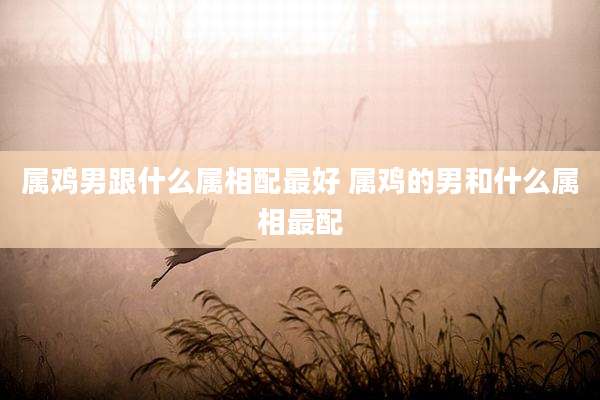 属鸡男跟什么属相配最好 属鸡的男和什么属相最配