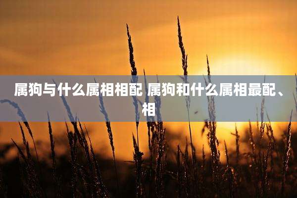 属狗与什么属相相配 属狗和什么属相最配、相