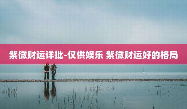 紫微财运详批-仅供娱乐 紫微财运好的格局