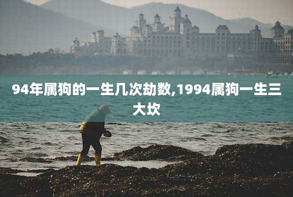 94年属狗的一生几次劫数,1994属狗一生三大坎