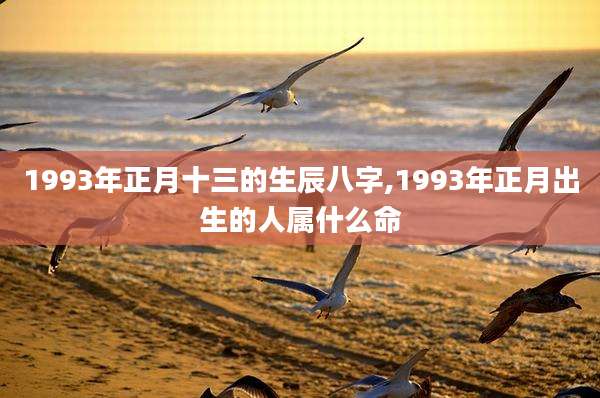 1993年正月十三的生辰八字,1993年正月出生的人属什么命