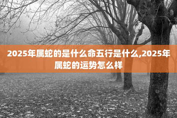 2025年属蛇的是什么命五行是什么,2025年属蛇的运势怎么样