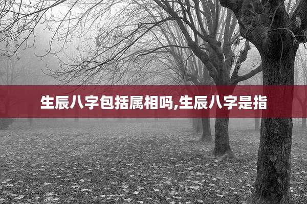 生辰八字包括属相吗,生辰八字是指