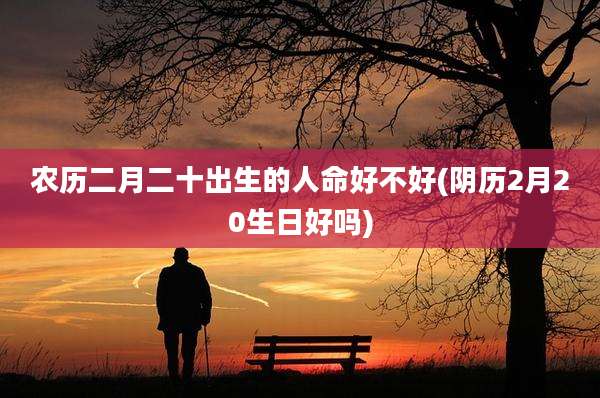 农历二月二十出生的人命好不好(阴历2月20生日好吗)