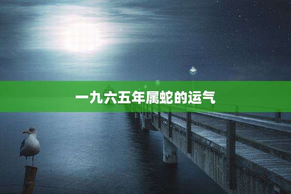 一九六五年属蛇的运气