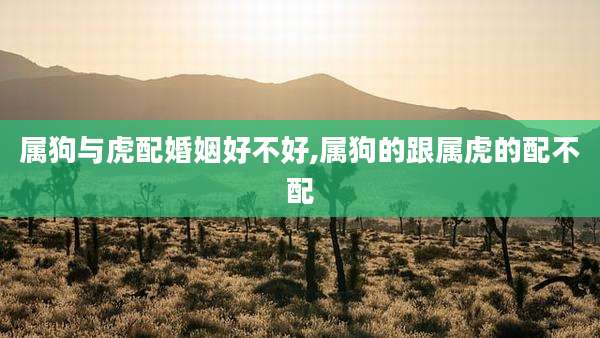 属狗与虎配婚姻好不好,属狗的跟属虎的配不配