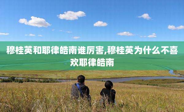 穆桂英和耶律皓南谁厉害,穆桂英为什么不喜欢耶律皓南