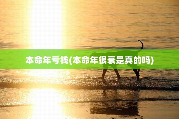 本命年亏钱(本命年很衰是真的吗)