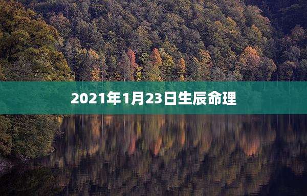 2021年1月23日生辰命理