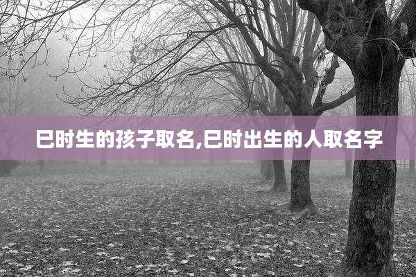 巳时生的孩子取名,巳时出生的人取名字