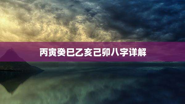 丙寅癸巳乙亥己卯八字详解