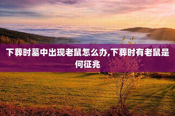 下葬时墓中出现老鼠怎么办,下葬时有老鼠是何征兆