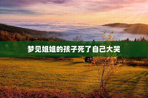 梦见姐姐的孩子死了自己大哭
