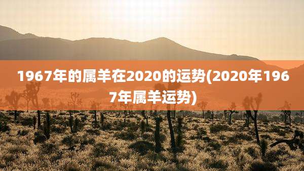 1967年的属羊在2020的运势(2020年1967年属羊运势)