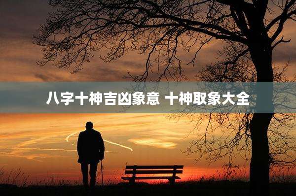 八字十神吉凶象意 十神取象大全