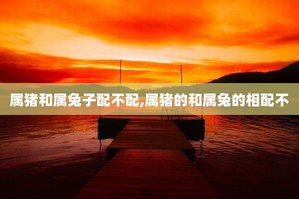 属猪和属兔子配不配,属猪的和属兔的相配不